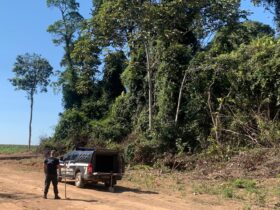 Ossada de jovem sequestrado e morto por faccao e encontrado em Nova Ubirata