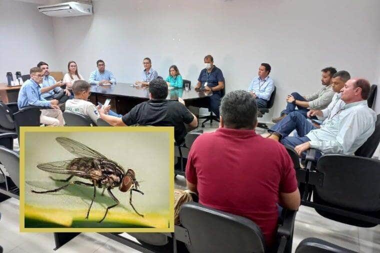 Pericia apura causas da proliferacao de mosca dos estabulos