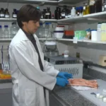 Pesquisadores da Ufes criam enxerto para humanos a partir de ossos de boi