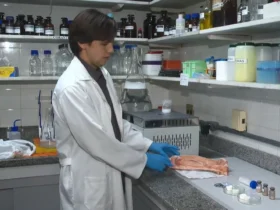 Pesquisadores da Ufes criam enxerto para humanos a partir de ossos de boi