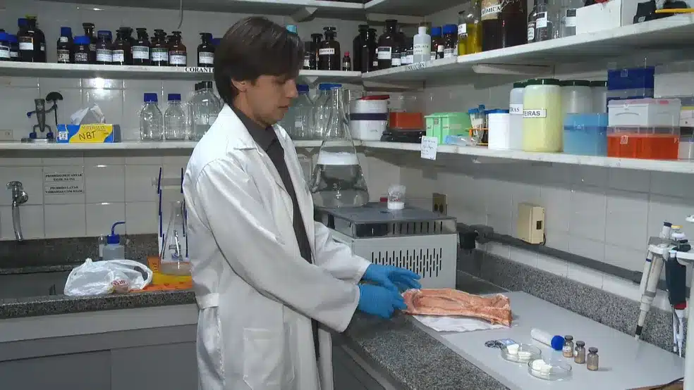 Pesquisadores da Ufes criam enxerto para humanos a partir de ossos de boi