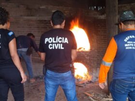 Polícia Civil incinera 35 quilos de entorpecentes em Nova Olímpia