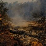 Proprietarios de fazenda em Mato Grosso terao que preservar area atingida por queimada por 15 anos