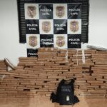 Polícia Civil apreende 280 tabletes de maconha em fazenda em Pedra Preta