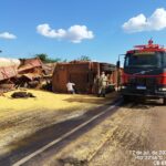 Bois são resgatados após tombamento de caminhão em Mato Grosso