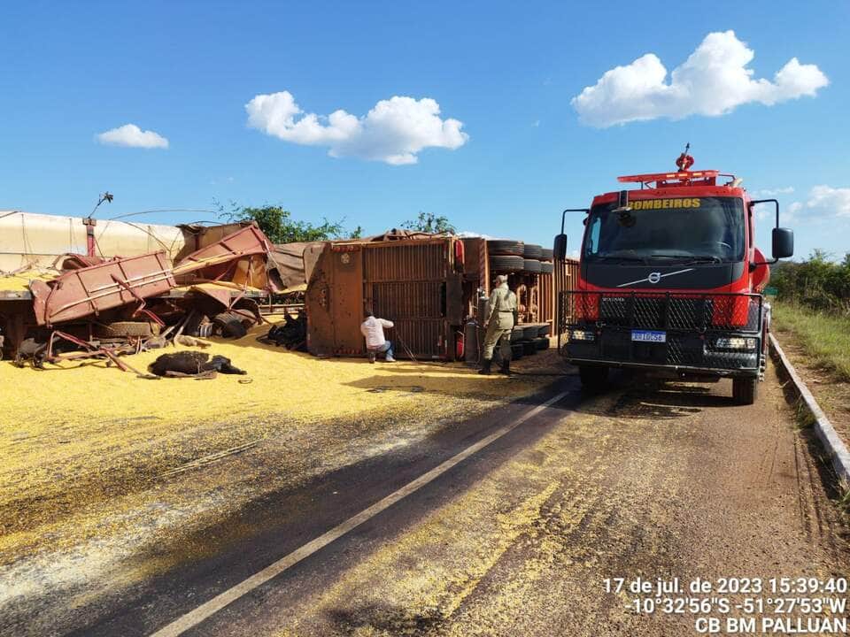 Bois são resgatados após tombamento de caminhão em Mato Grosso 2 Bois são resgatados após tombamento de caminhão em Mato Grosso