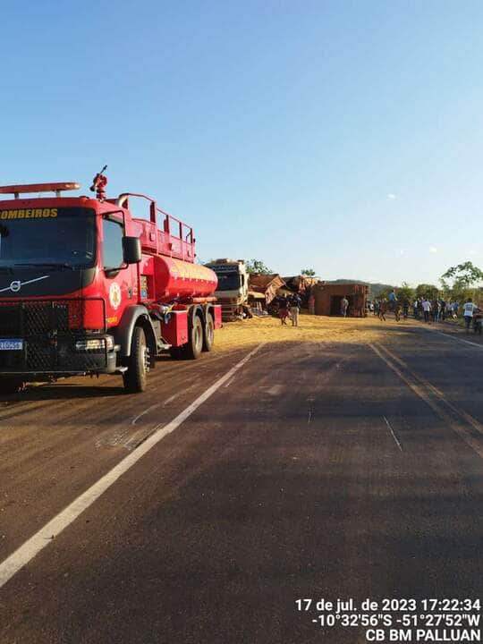Bois são resgatados após tombamento de caminhão em Mato Grosso 3 WhatsApp Image 2023 07 18 at 09.04.41