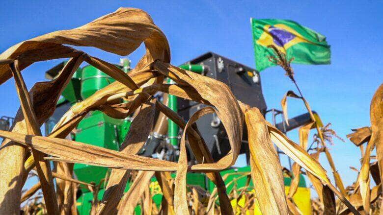 Monitoramento identificou áreas com produtividade maior. Em algumas localidades plantio foi fora da chamada janela ideal
