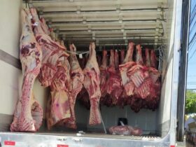 Polícia Civil prende três pessoas por furto de carga de carne bovina em MT