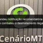 acao atendeu notificacao recomendatoria do mpe e combateu o desmatamento ilegal 943998