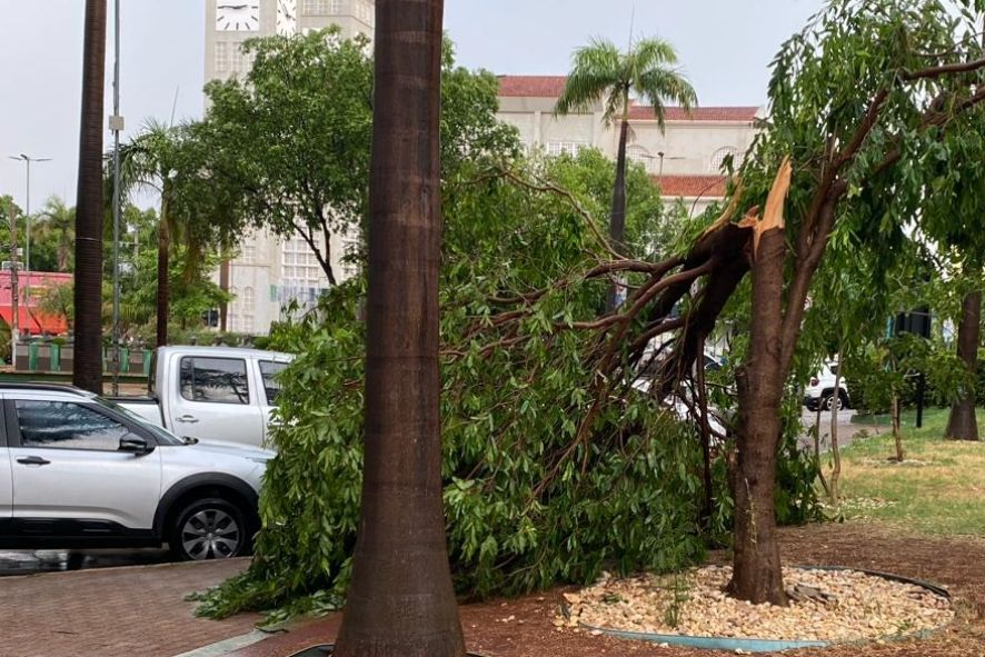 Temporal deixou estragos na Capital