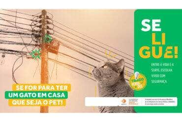 agosto vermelho busca conscientizar sobre acidentes com rede eletrica scaled 1