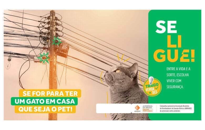 agosto vermelho busca conscientizar sobre acidentes com rede eletrica scaled 1
