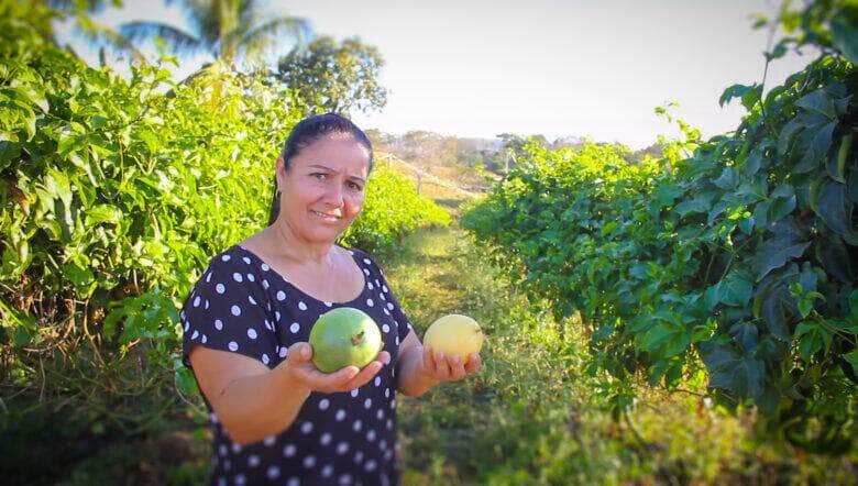 Ângela produz maracujá no município de Nov Brasilândia já pretende expandir a área de produção  - Foto por: Lucas Diego/Seaf-MT