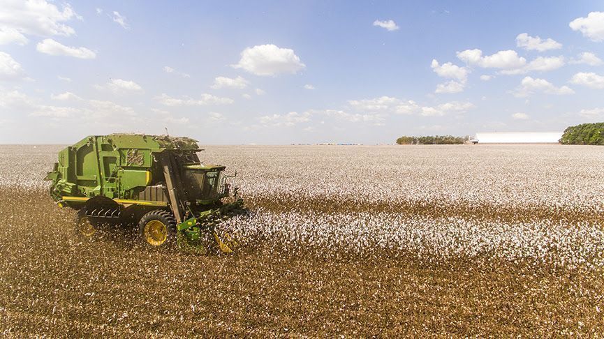 Condições climáticas derrubaram produtividade média em todo Mato Grosso