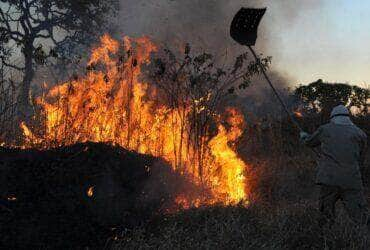 amazonia concentra 90 da area com focos de incendio no 1o bimestre