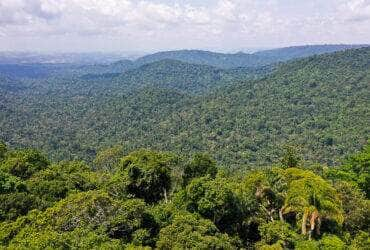 Amazônia