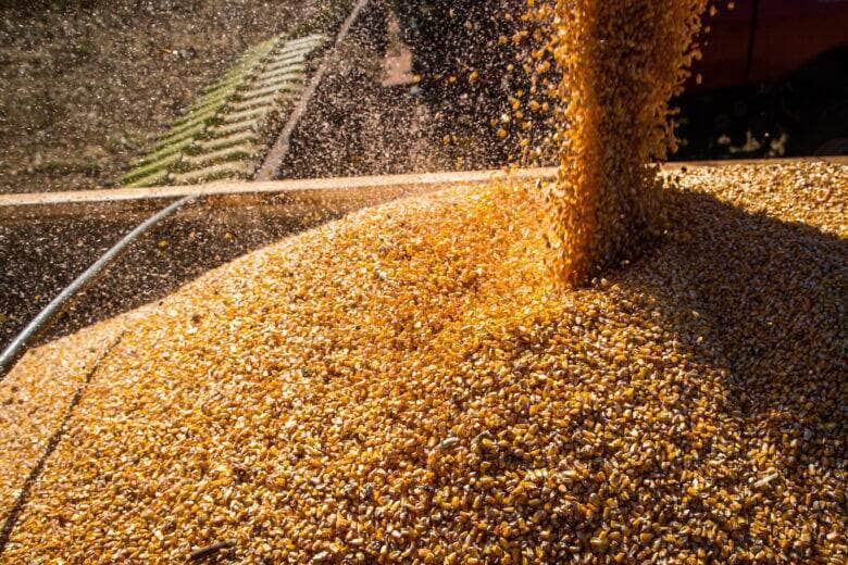 apos 6 anos conab retoma politica de estoques publicos de alimentos