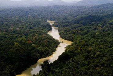 El parque ambiental de Jamanxim es un santuario ecológico de 1. 300 hectáreas donde viven especies autóctonas de la Amazonia Por: Leonardo Milano/ICMBio