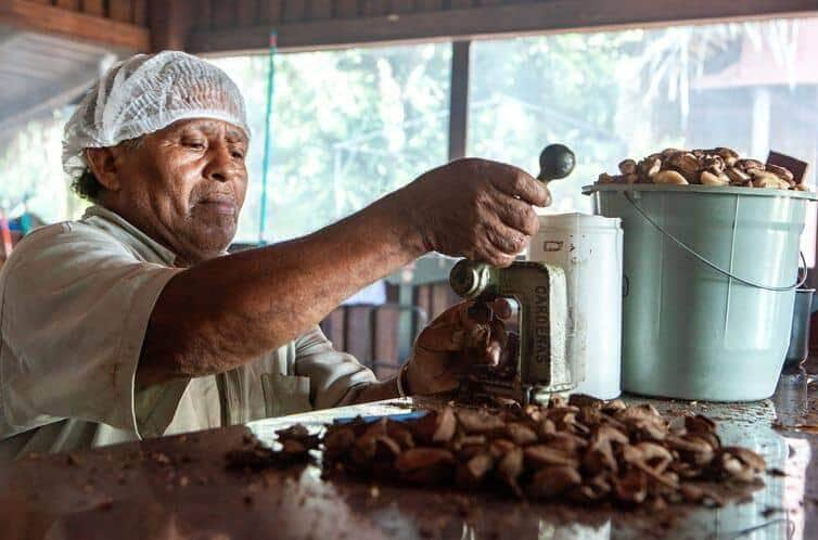 Orlando Ramos de Araujo trabalha quebrando castanhas. Processamento da castanha na mini usina da Comunidade do Rio Novo, um afluente do rio Iriri na Terra do Meio. 