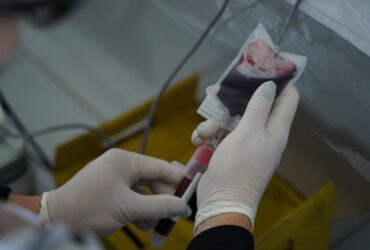campanha de doacao de sangue sera em agosto