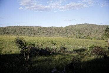 Cavalcante (GO) 12/09/2023 - Vista do cerrado na Comunidade quilombola Kalunga do Engenho II. O cerrado é um dos cinco grandes biomas do Brasil, cobrindo cerca de 25% do território nacional e perfazendo uma área entre 1,8 e 2 milhões de km2 Foto: Joédson Alves/Agência Brasil