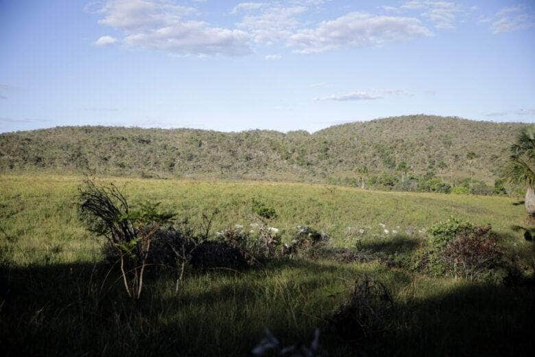 Cavalcante (GO) 12/09/2023 - Vista do cerrado na Comunidade quilombola Kalunga do Engenho II. O cerrado é um dos cinco grandes biomas do Brasil, cobrindo cerca de 25% do território nacional e perfazendo uma área entre 1,8 e 2 milhões de km2 Foto: Joédson Alves/Agência Brasil