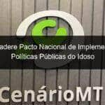 cededipi adere pacto nacional de implementacao de politicas publicas do idoso 1027878