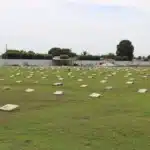 cemiterio interno campo aberto