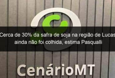 cerca de 30 da safra de soja na regiao de lucas ainda nao foi colhida estima pasqualli 1110482