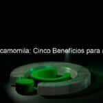 cha de camomila cinco beneficios para a saude 1056612