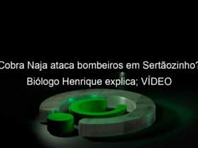 cobra naja ataca bombeiros em sertaozinho biologo henrique explica video 1133850