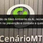 comissao de meio ambiente da al reune orgaos que atuam na prevencao e combate a queimadas no pantanal 1052370