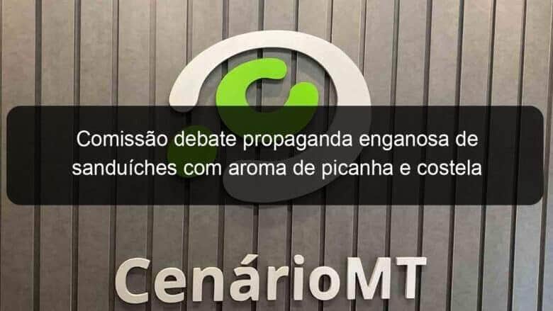 comissao debate propaganda enganosa de sanduiches com aroma de picanha e costela 1135134