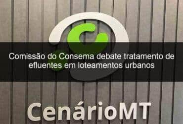 comissao do consema debate tratamento de efluentes em loteamentos urbanos 791753