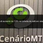 conab preve aumento de 75 na colheita de cafe em relacao a 2022 1365479