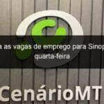 confira as vagas de emprego para sinop nesta quarta feira 779657