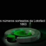 confira os numeros sorteados da lotofacil concurso 1863 852575