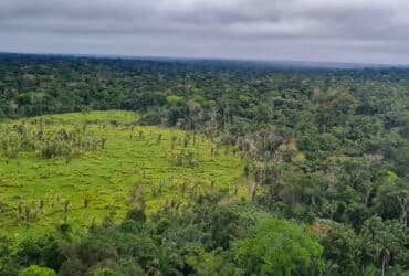 Operação conjunta combate desmatamento ilegal em Mato Grosso