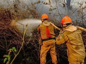 corpo de bombeiros combate incendio em vegetacao de chapada dos guimaraes