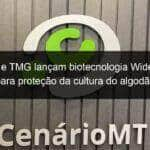 corteva e tmg lancam biotecnologia widestrike 3 para protecao da cultura do algodao 952730