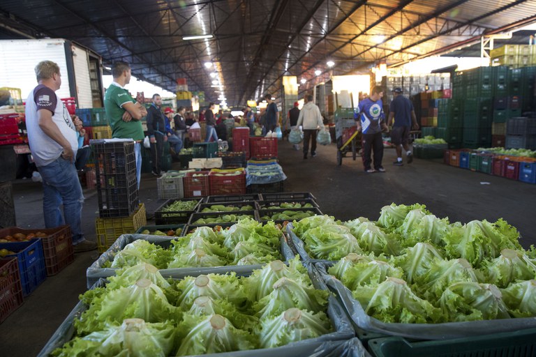 Cotação nas Ceasas revela nova queda de preços das hortaliças em agosto - Foto: Governo do Paraná