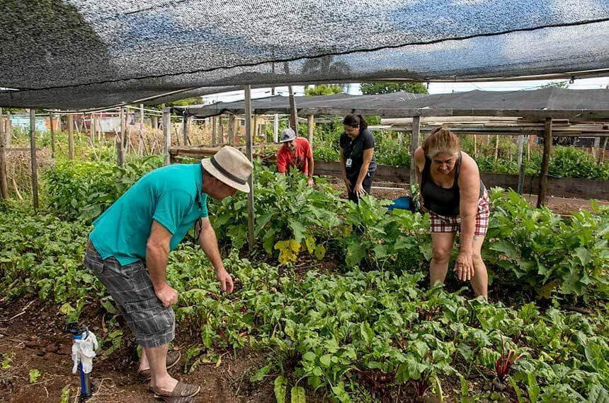 cra analisa cultivo de hortas comunitarias em terrenos da uniao