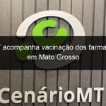 crf mt acompanha vacinacao dos farmaceuticos em mato grosso 1014705