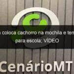 crianca coloca cachorro na mochila e tenta levar para escola video 1135079