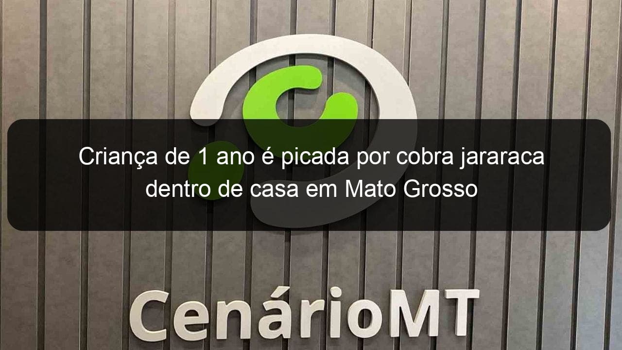 crianca de 1 ano e picada por cobra jararaca dentro de casa em mato grosso 1331120