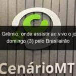 cuiaba x gremio onde assistir ao vivo o jogo deste domingo 3 pelo brasileirao 1360073