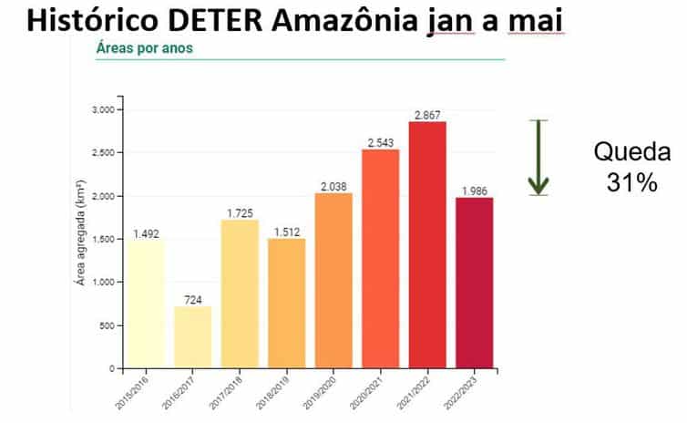 Desmatamento na Amazônia cai 31% de janeiro a maio 