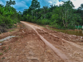 10/08/2023, Ambientalistas denunciam desmatamento às margens de rodovia amazônica. Foto: Cristie Sicsú
