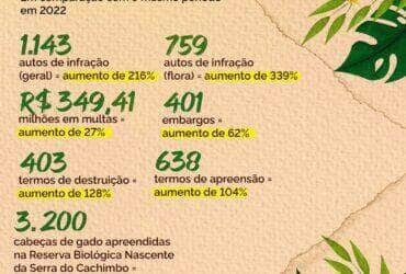 desmatamento na amazonia tem queda historica de 66 em julho